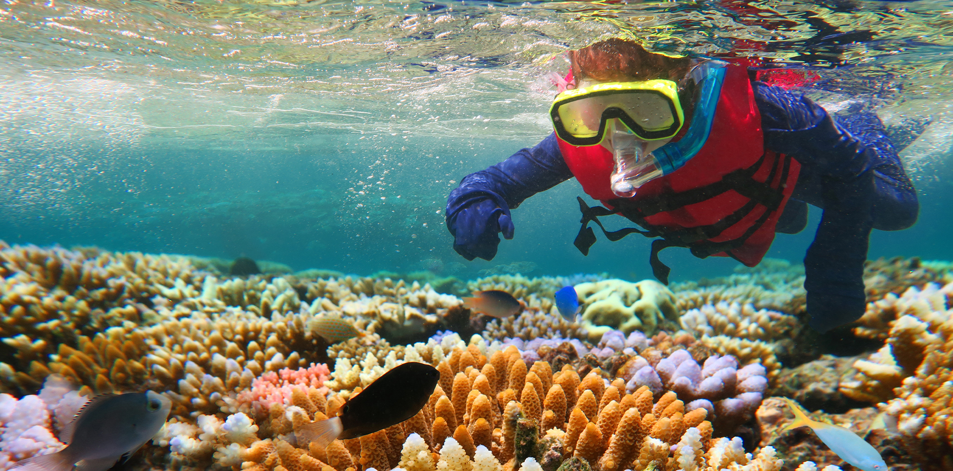 australia reef child snorkelling