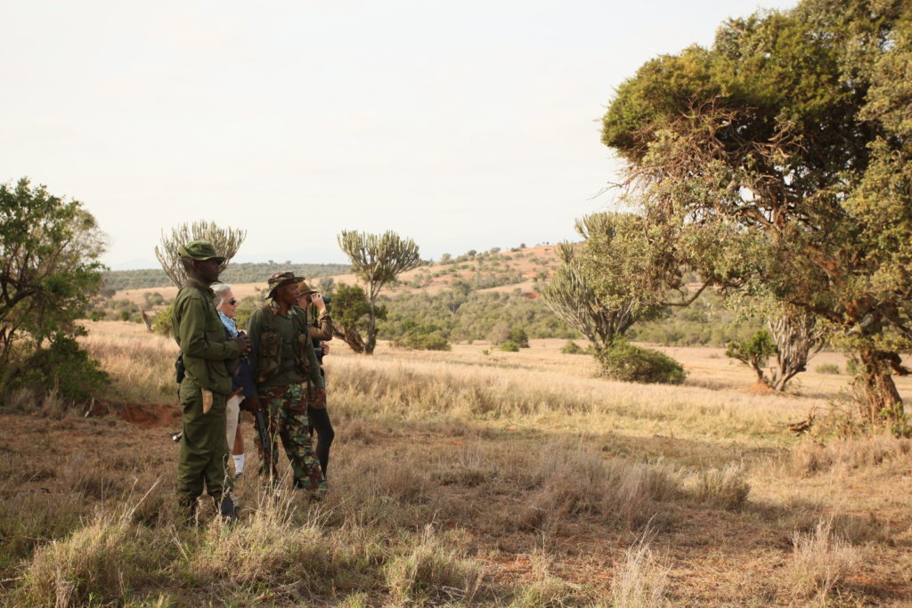 field rangers borana conservancy kenya