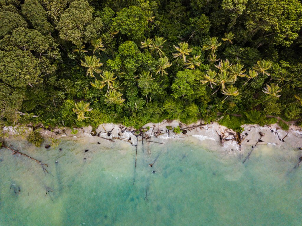 beach jungle costa rica aerial