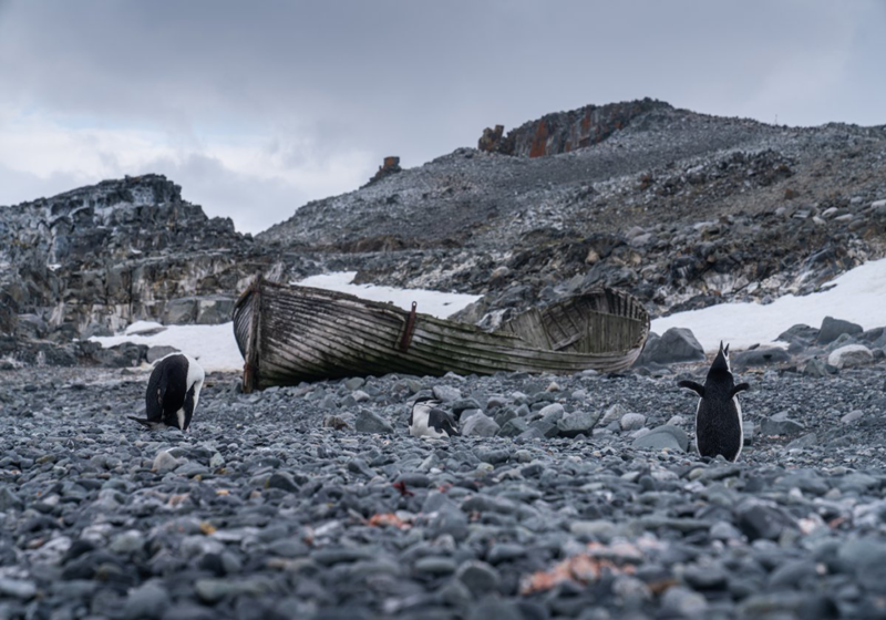 Penguins-and-Shipwreck-Antartica-Resized