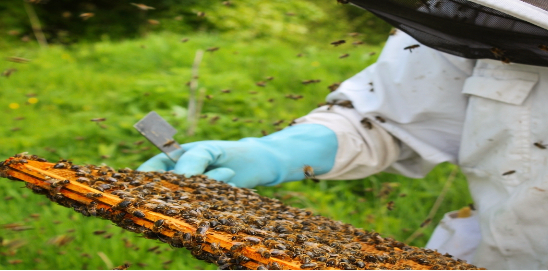 The-British-Bee-Company-header-image-of-beekeeper