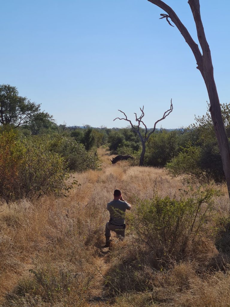 Tracking rhino - Black Rhino Conservation Efforts