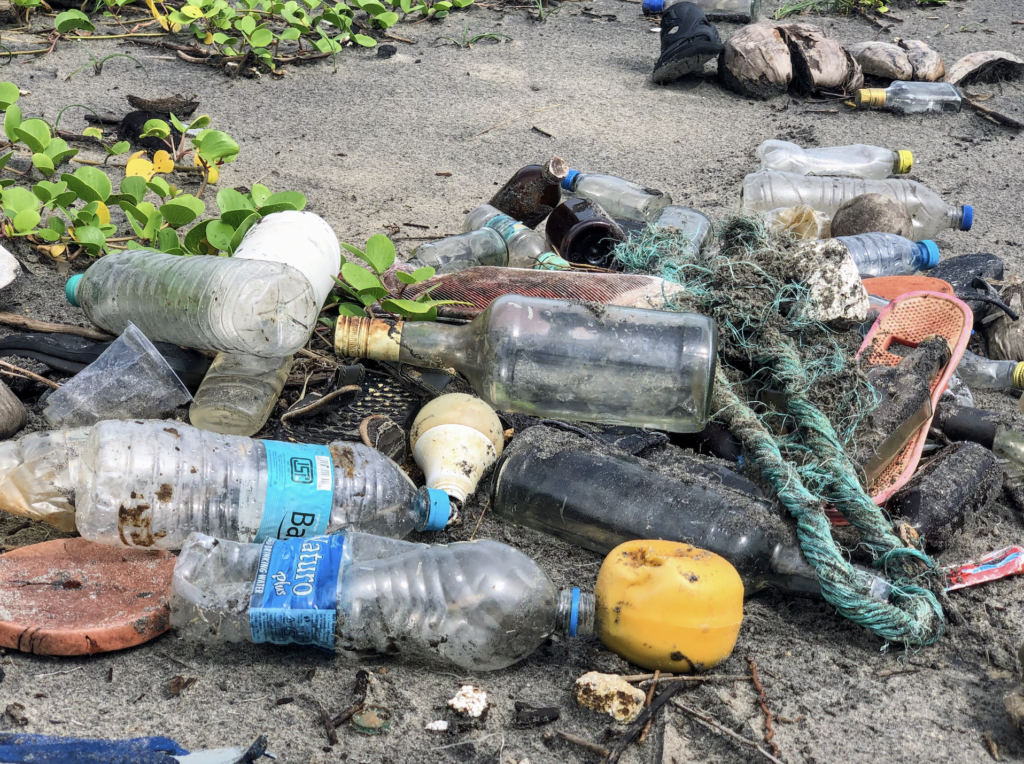 Plastic pollution on the shore