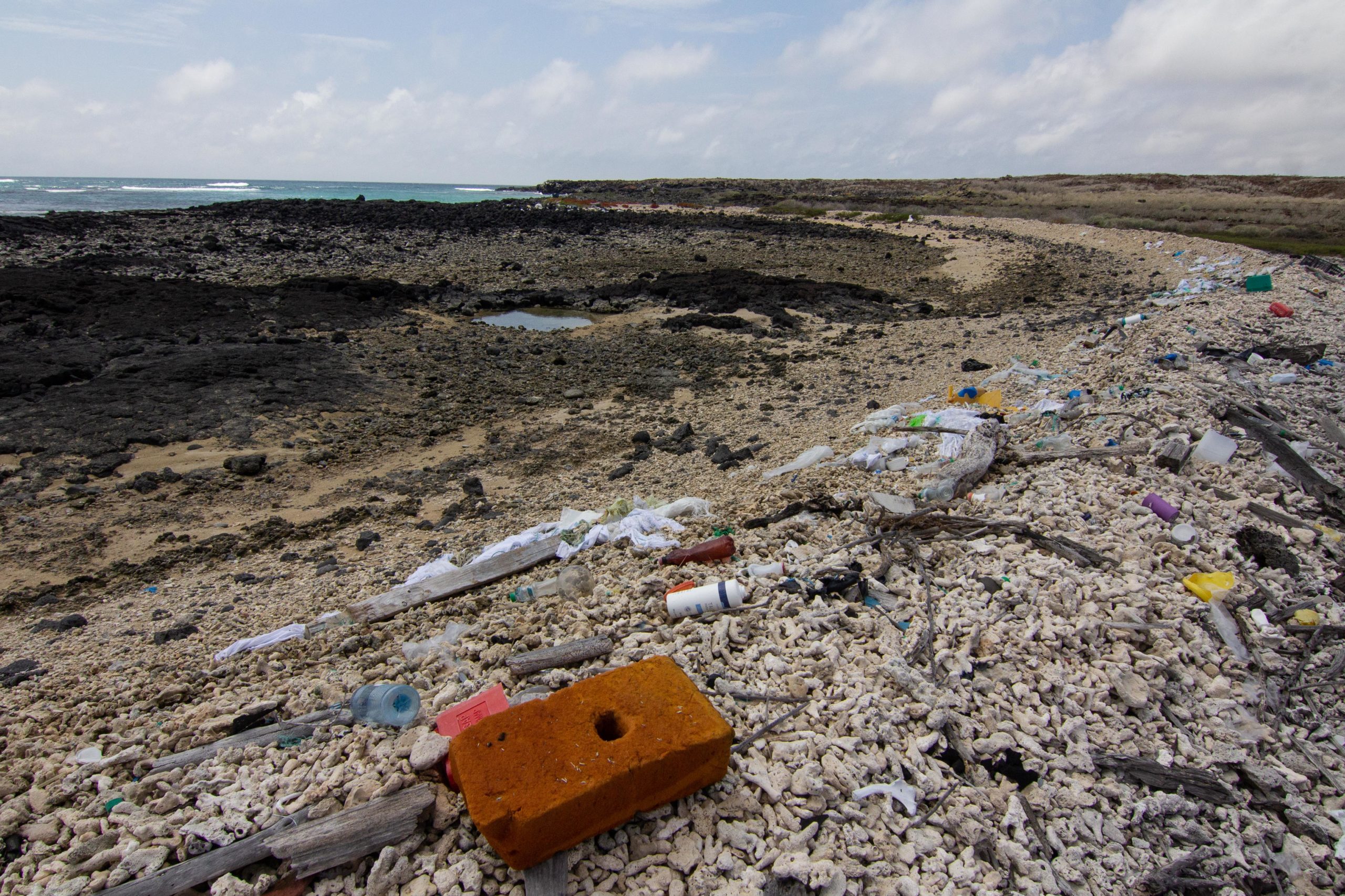 Plastic litter in the Galapagos