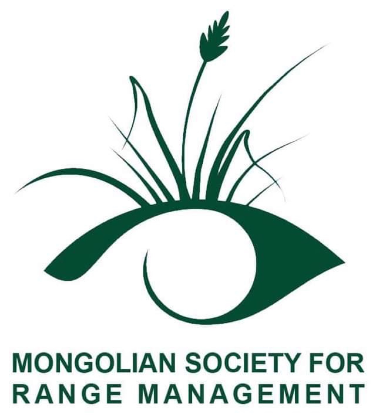 MSRM Logo - green